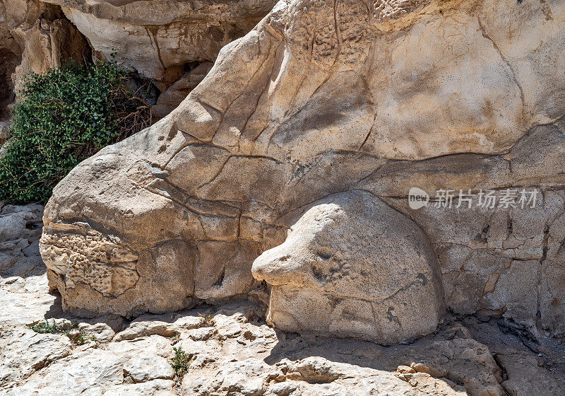 以色列Ein Avdat国家公园。美丽的石头。